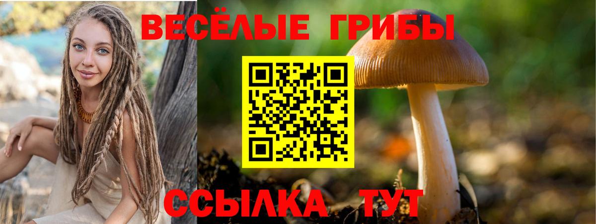 Псилоцибиновые грибы прущие грибы  купить наркоту  Ноябрьск  Вход с VPN 